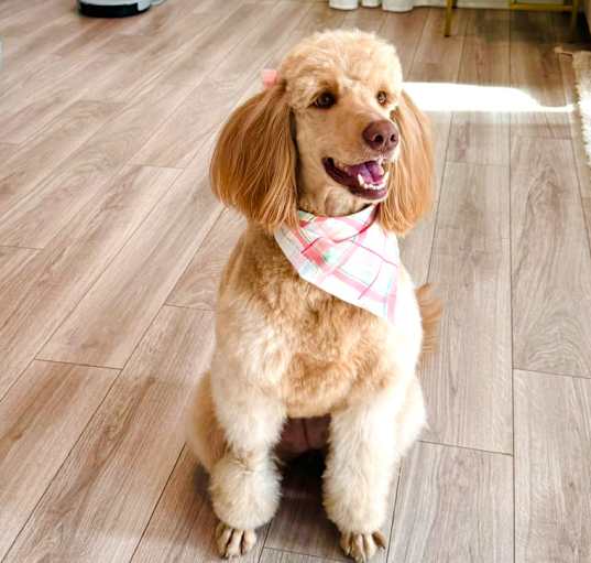 Photo of Hazel