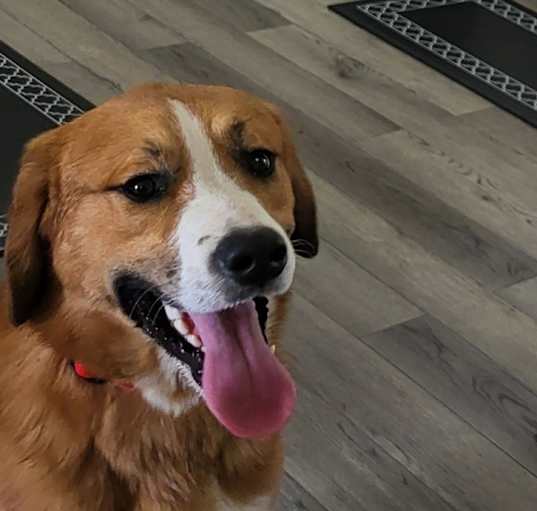 Photo of Sam