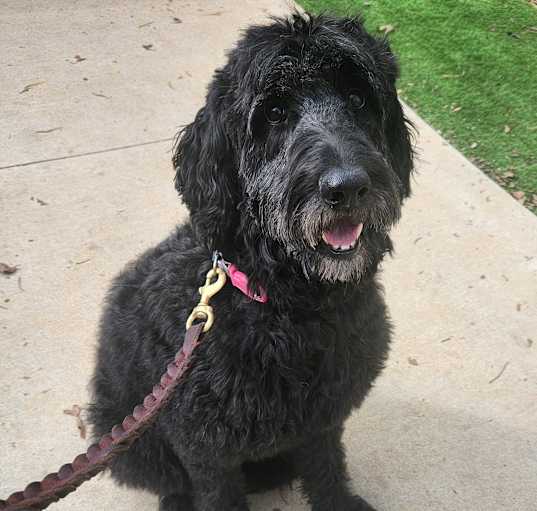 Photo of Big Bella