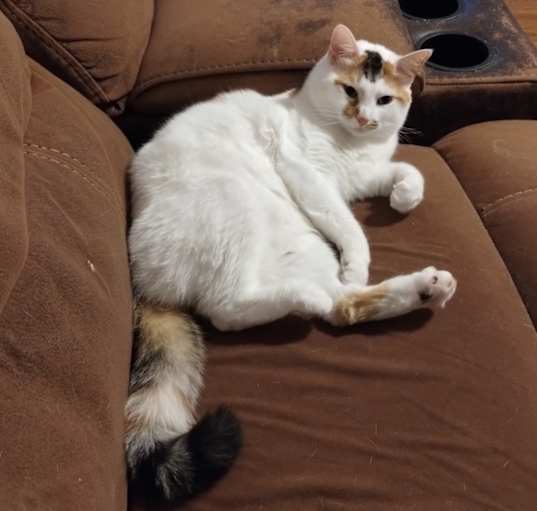 Photo of Daisy