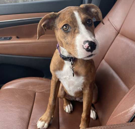 Photo of Evie