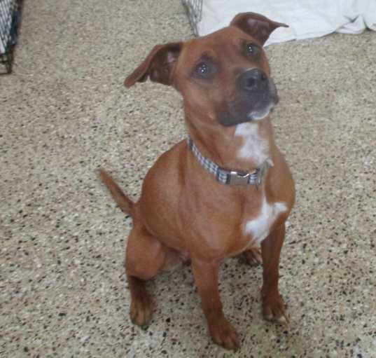Photo of Penelope