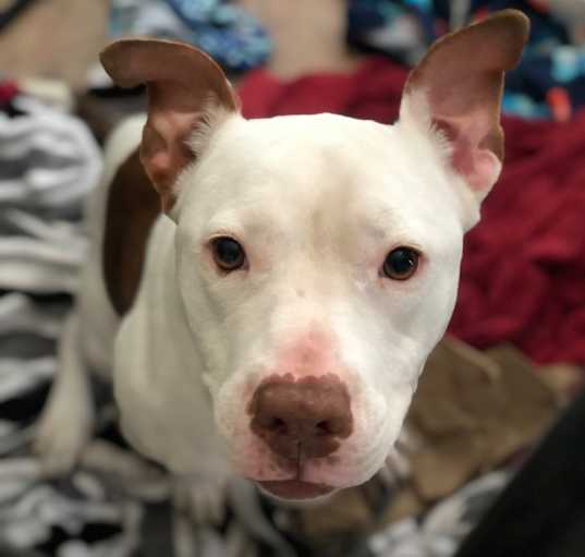 Photo of Grace