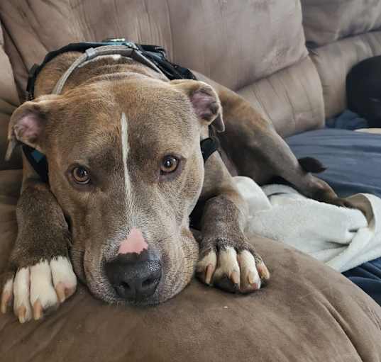 Photo of Delta