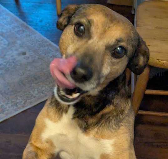 Photo of Bugsy