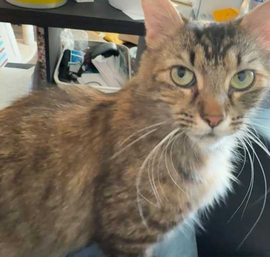 Photo of Bella