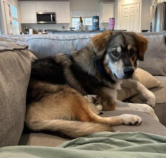 Photo of Ella