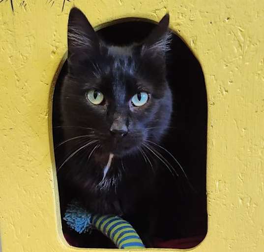Photo of Sierra