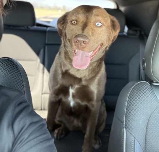 Photo of Coco