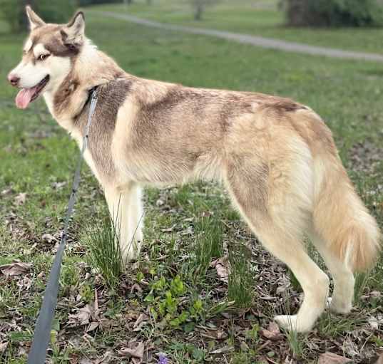 Photo of Zoe