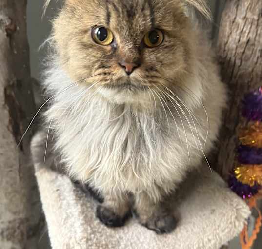 Photo of Liza - SO Loving