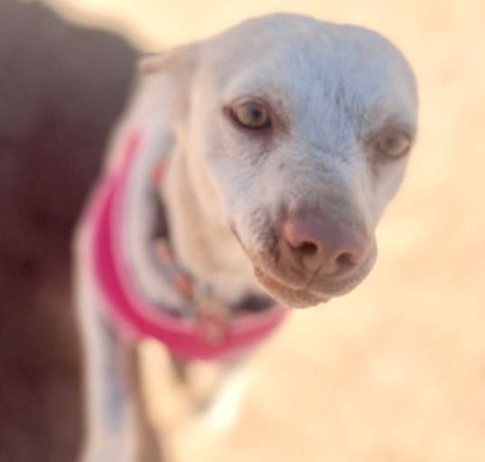 Photo of Fiona