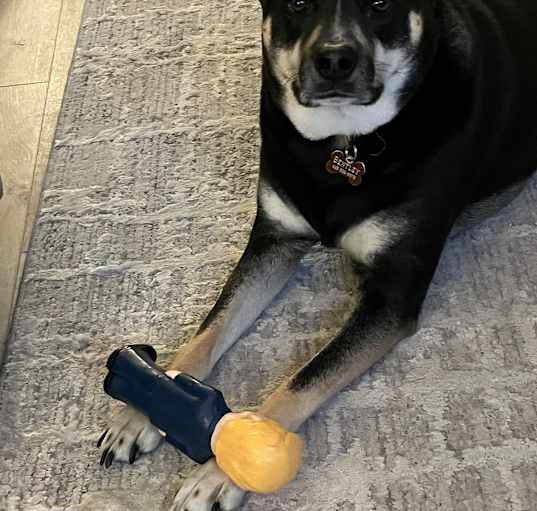 Photo of Bentley