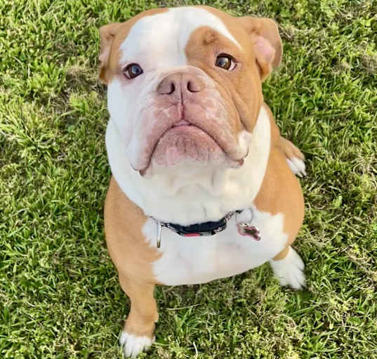 Photo of Mia
