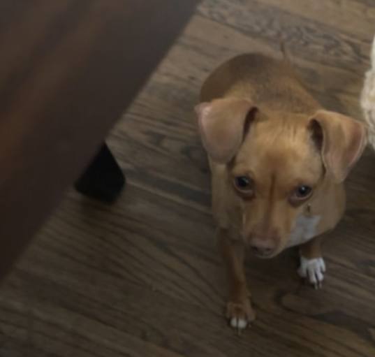 Photo of Lola