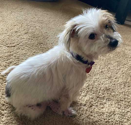 Photo of Molly