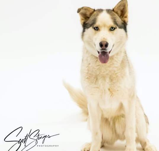 Photo of Oden