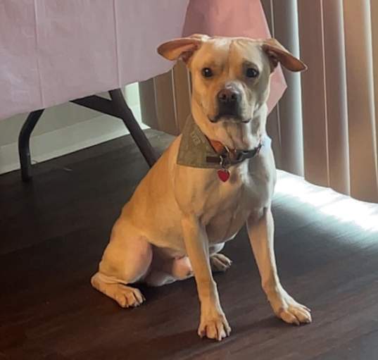 Photo of maverick