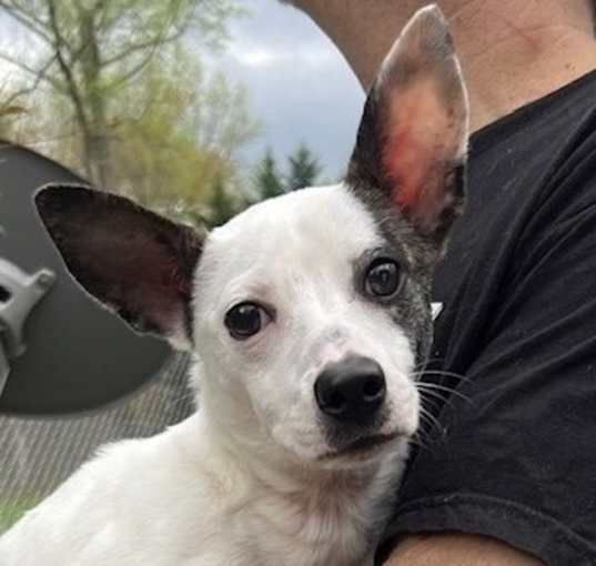 Photo of Lucy Lou