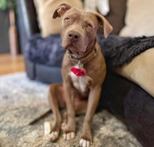 Photo of Gretel