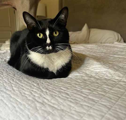 Photo of Mister