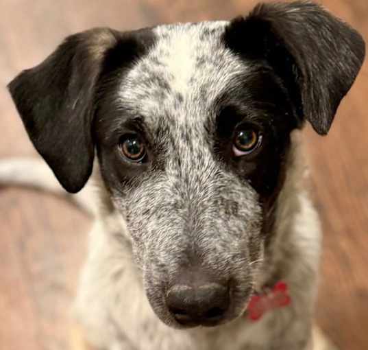 Photo of Jolly