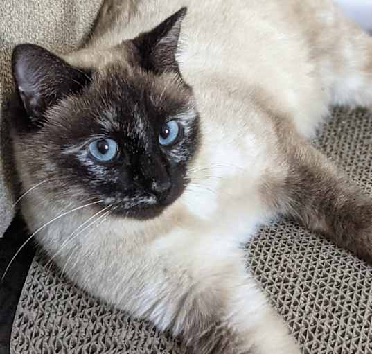 Photo of Quilla