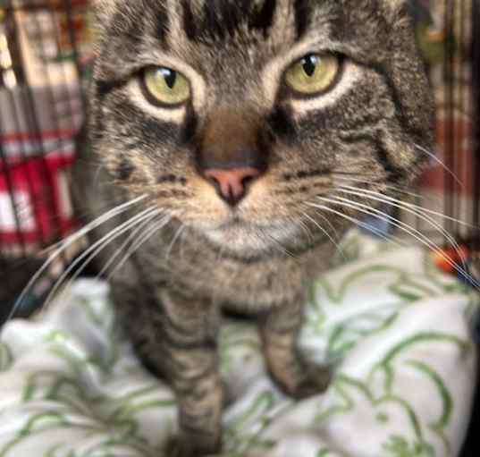 Photo of Mr. Big