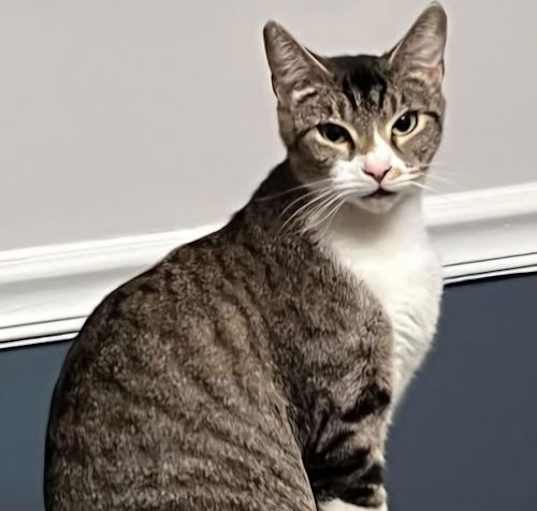 Photo of Sophia
