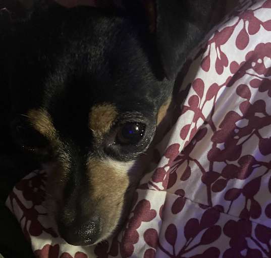 Photo of Benito