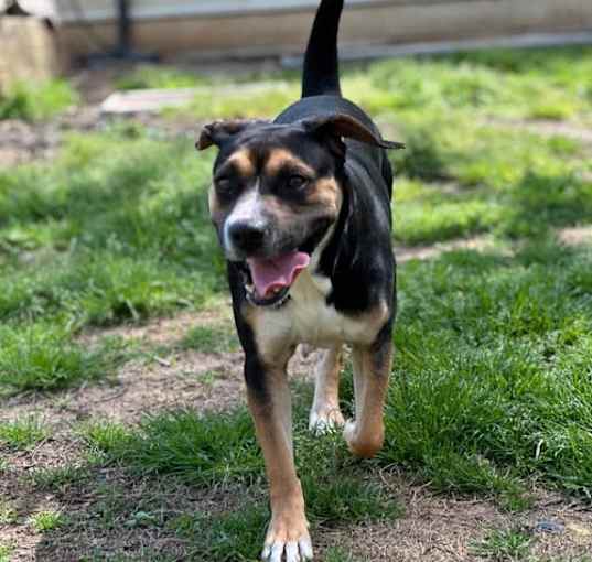 Photo of Molly Mae