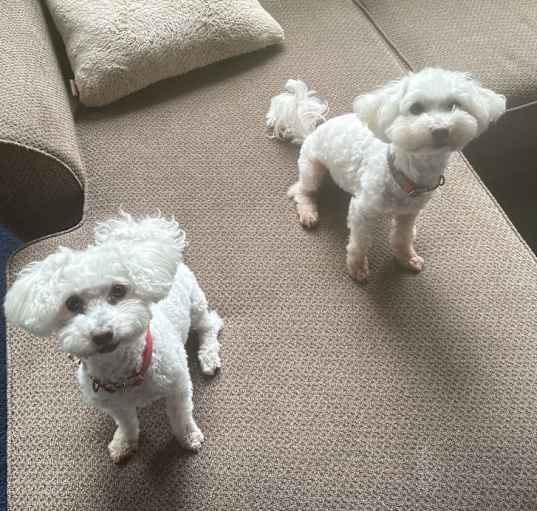Photo of Laine&lucy