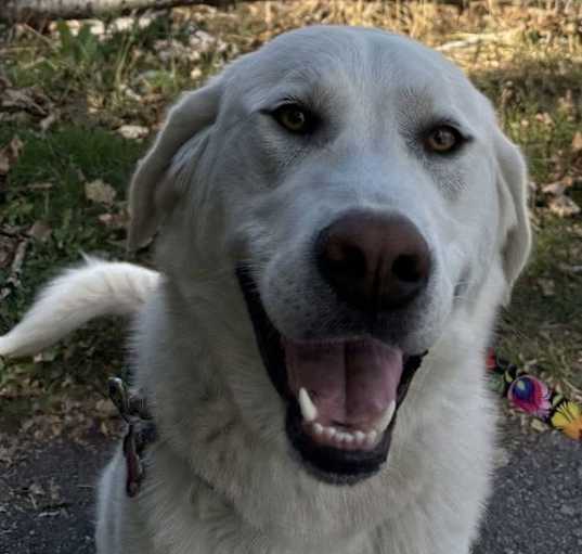 Photo of Fiona