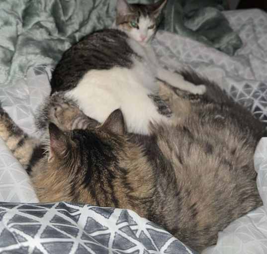 Photo of Maggie and fisher