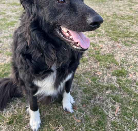 Photo of Emmett