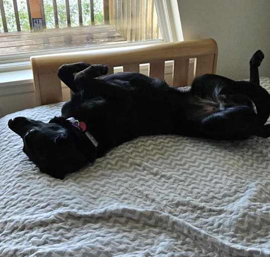 Photo of Libby - Located in OR