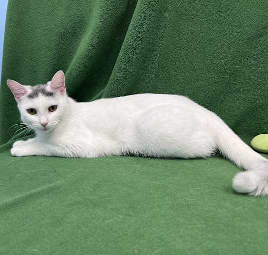 Photo of Lil