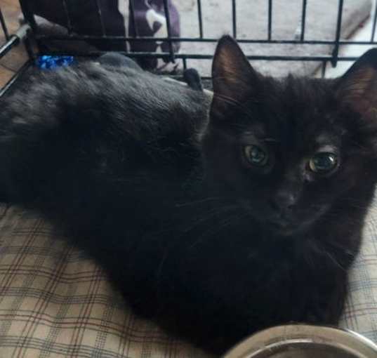 Photo of Nova