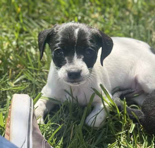 Photo of Baby COSMO
