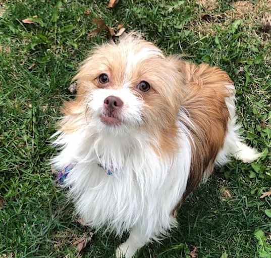 Photo of Rayne