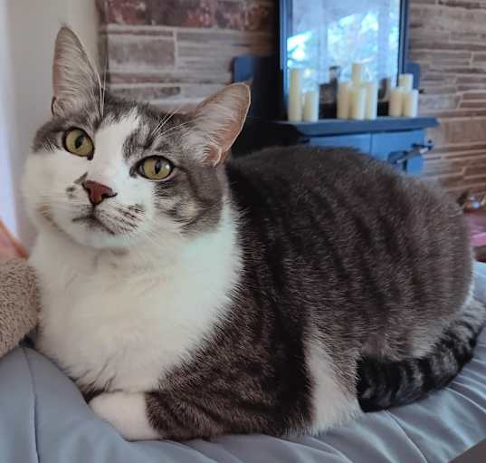Photo of Dakota