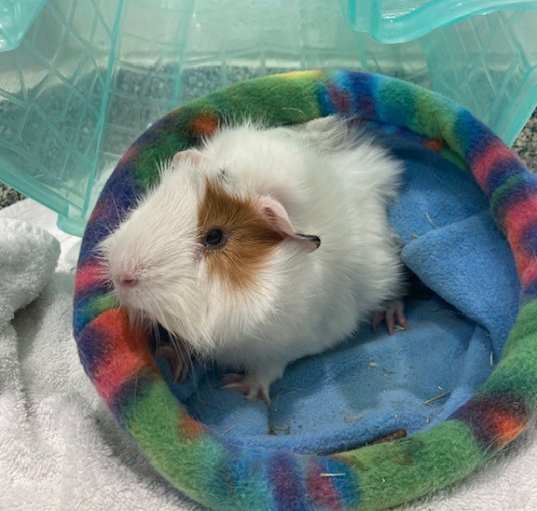 Photo of CLARK