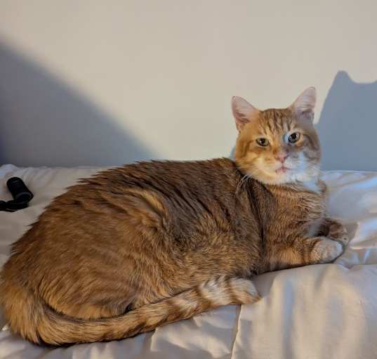 Photo of Buford