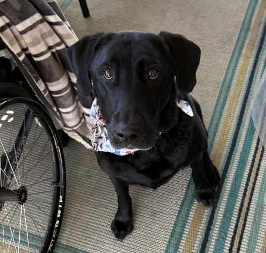 Photo of Charley