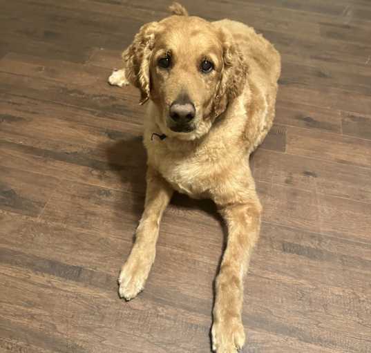 Photo of Mookie