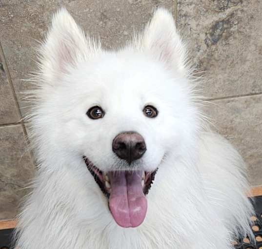 Photo of Nyla