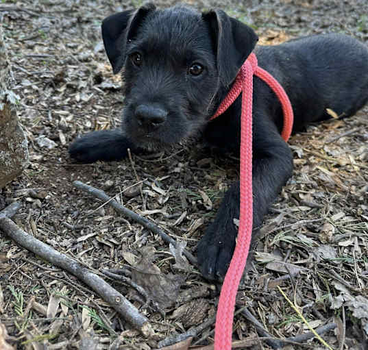 Photo of Sophia