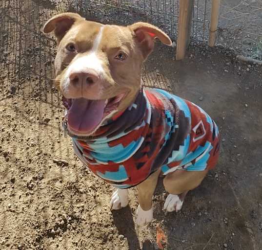 Photo of OTIS