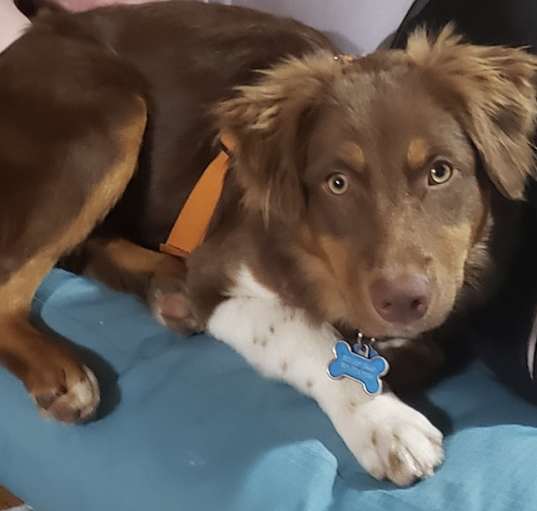 Photo of Asher