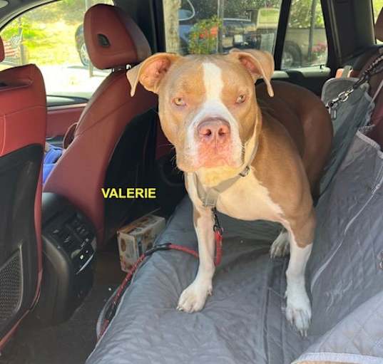 Photo of Valerie